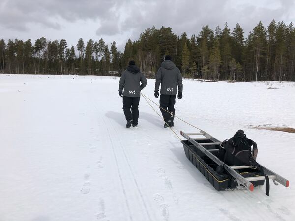 This undated photo, issued by SVT, shows preparations in Junsele, Sweden for the livestream 'The Great Moose Migration' to document the annual Moose migration near Kullberg in northern Sweden. (SVT via AP)