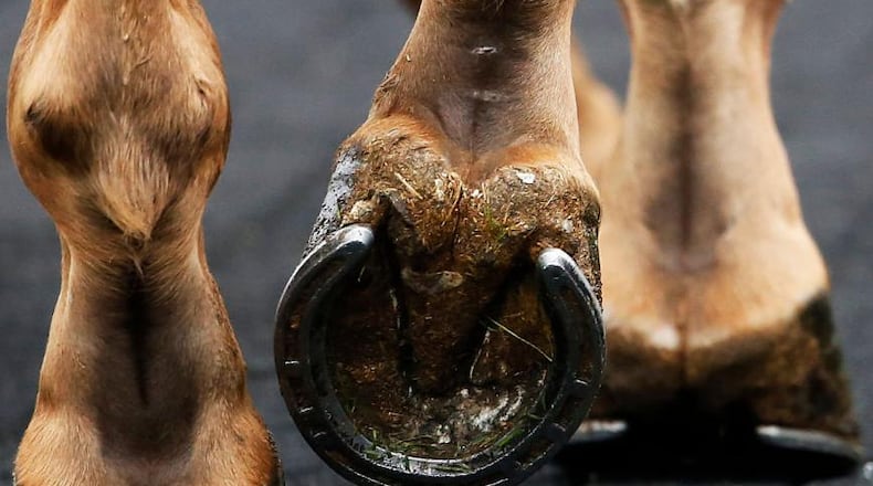 File photo. (Photo by Alan Crowhurst/Getty Images)