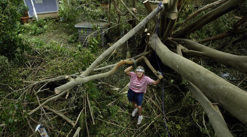 A large ficus tree fell on Nancy Dillard's Sewell's Point home during Hurricane Frances in 2004. (David Spencer/The Post)