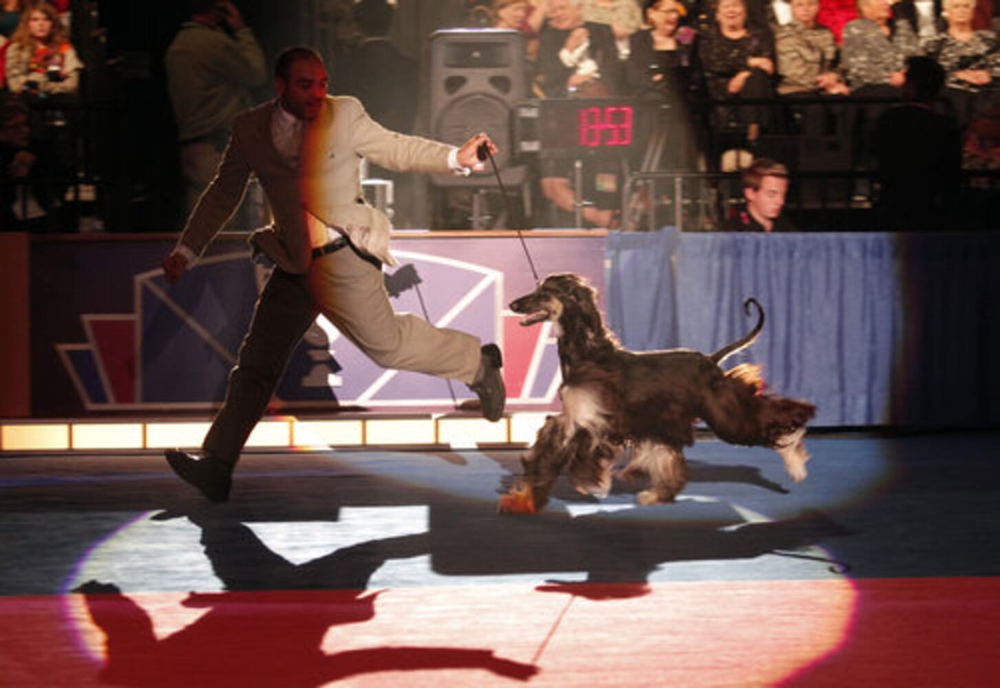 2010 AKC/Eukanuba National Championship