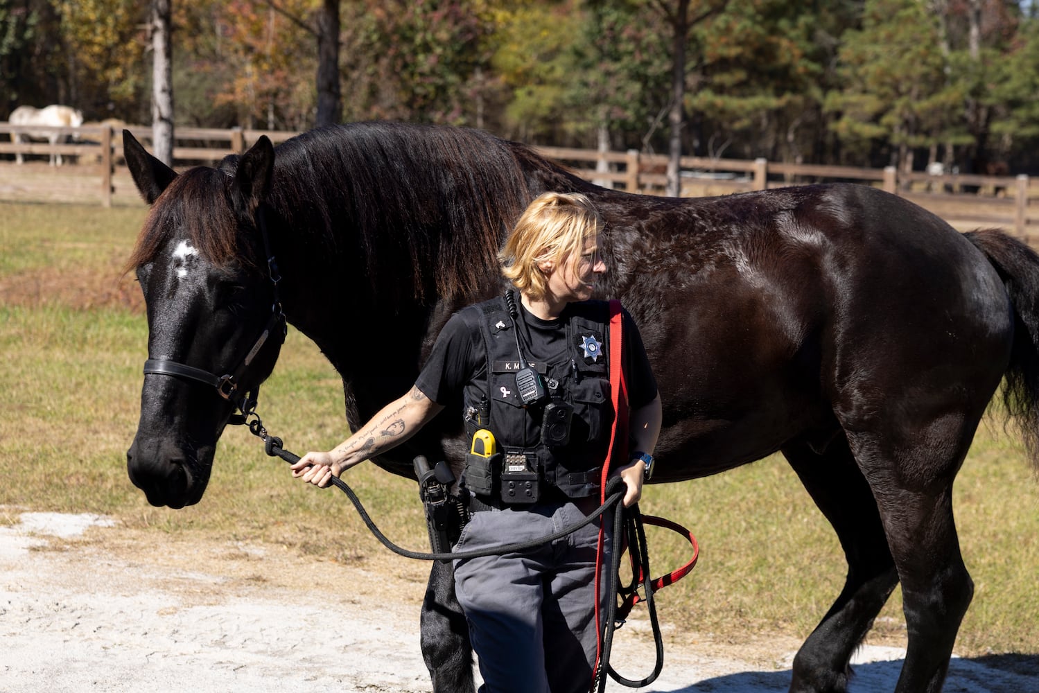 aajc 110625 anx cobb so equine