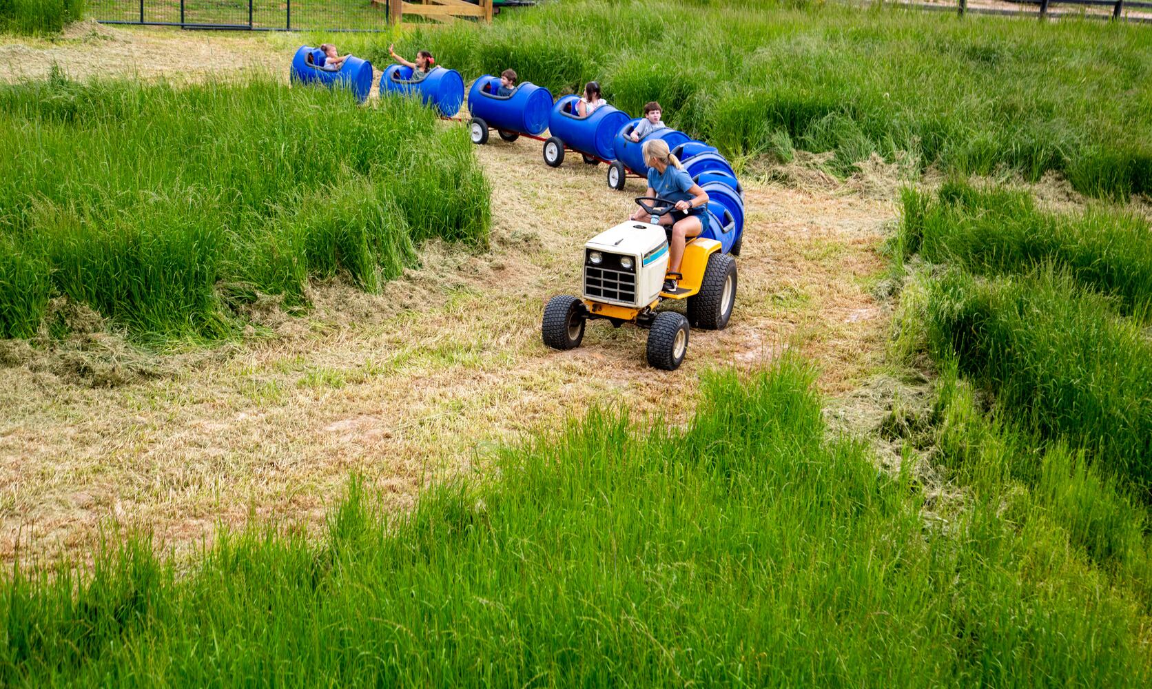 Buford Corn Maze May Fair