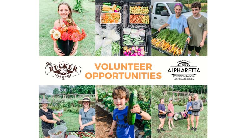 The Farm at Old Rucker Park, a 2.5-acre educational farm owned by the city of Alpharetta, seeks volunteers to take on such chores as weeding, planting and harvesting vegetables.