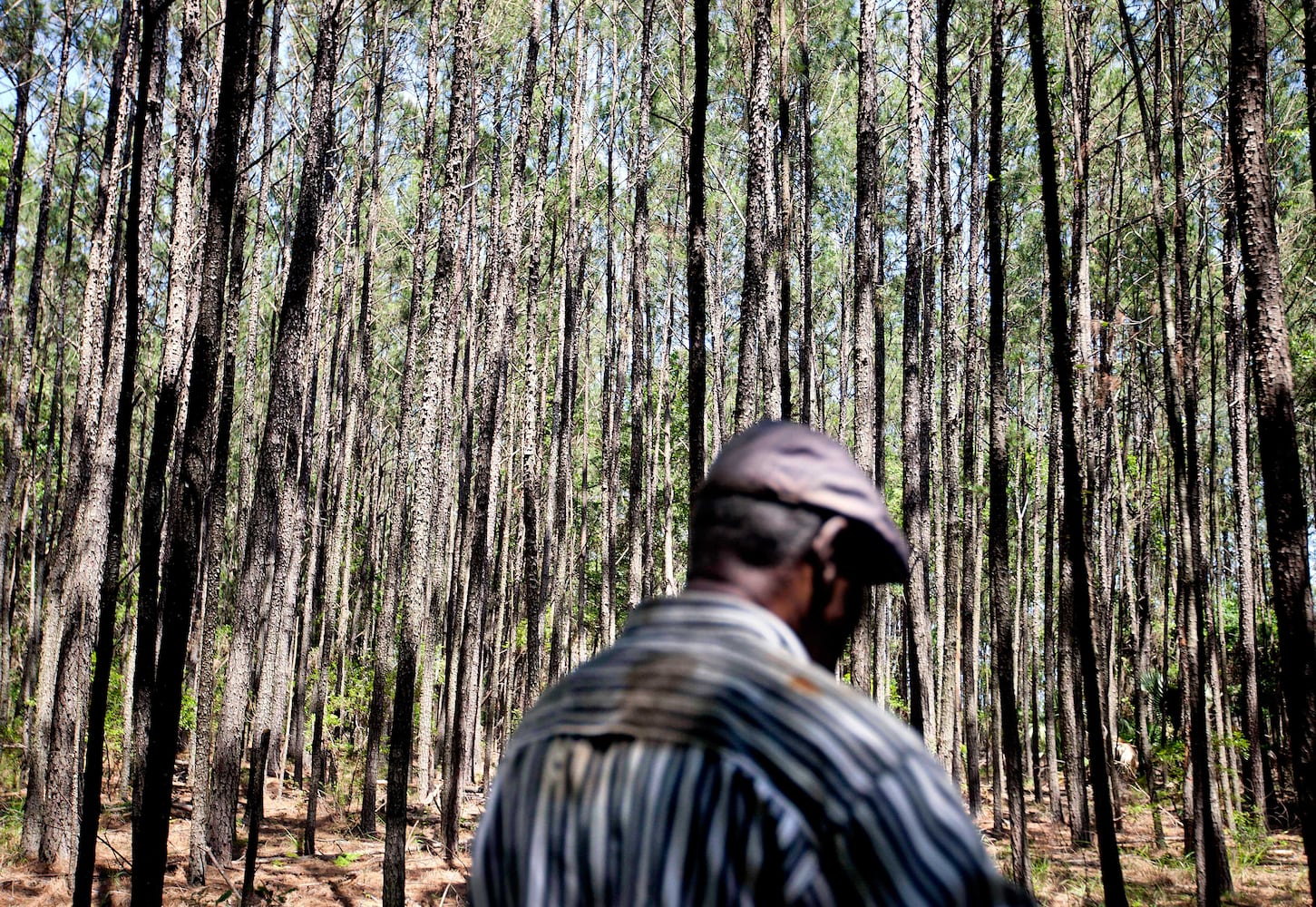 Sapelo Island's Geechee culture in peril