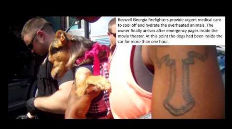 The pair of small dogs were left in a four-door black Chevrolet in a Roswell parking lot and were suffering from heat stroke, police said,