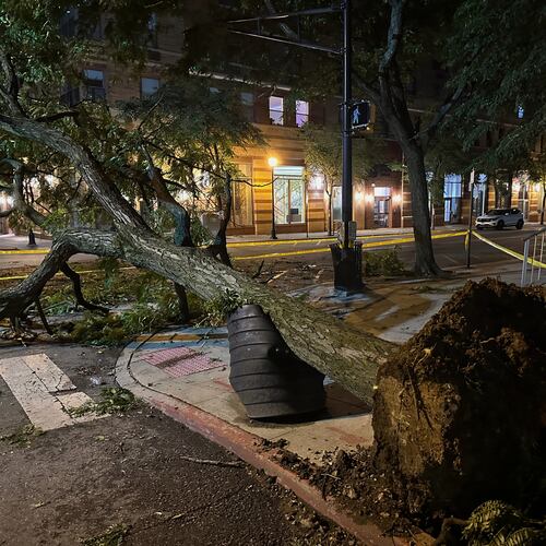 A tree ripped from the ground by a severe storm is surrounded by police tape in Hoboken, N.J., early Saturday, July 4, 2026. (AP Photo/Larry Neumeister)