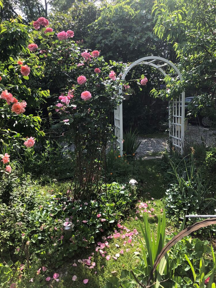 Photos: Best Gardens submitted by AJC readers