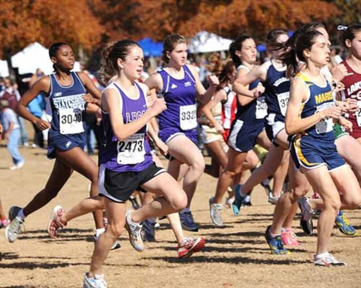 High School Sports: GHSA Cross Country Finals