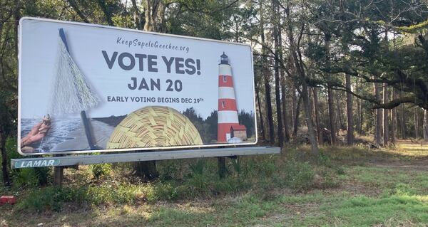 A billboard encouraging voters to cast ballots in a special election stands along U.S. 17 in McIntosh County. A referendum seeking to repeal a controversial Sapelo Island zoning ordinance is the only item on the ballot. (Adam Van Brimmer/AJC)