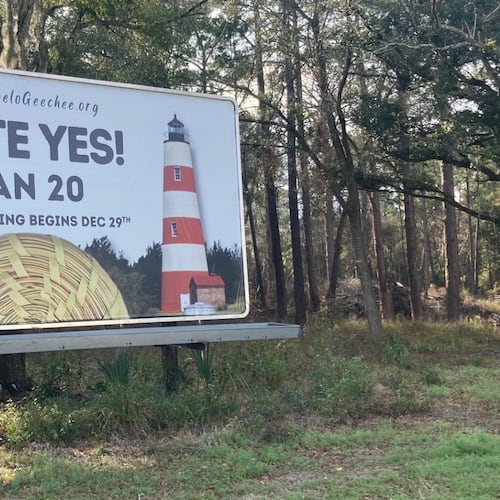 A billboard encourages voters to cast ballots in a special election stands along U.S. 17 in McIntosh County. A referendum seeking to repeal a controversial Sapelo Island zoning ordinance is the only item on the ballot. (Adam Van Brimmer/AJC)
