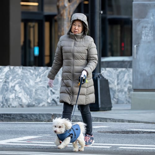 A woman walks her dog along Peachtree Street amid freezing morning temperatures on Thursday, Jan. 15, 2026, in downtown Atlanta. (Ben Hendren for the AJC)