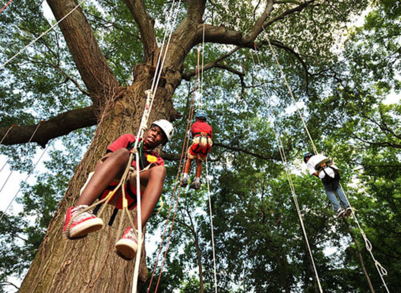 Tree Climbers International teaches kids