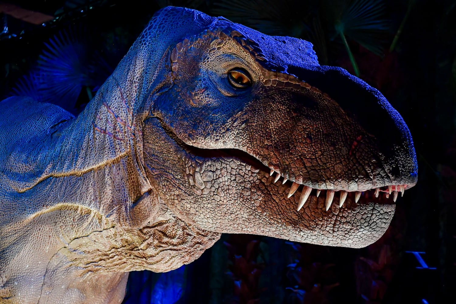 060323 JURASSIC WORLD EXPERIENCE