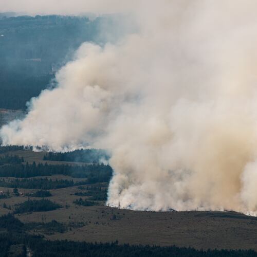Smoke from a massive wildfire in Belgium's Hohes Venn region is seen from Germany, Sunday, Aug. 16, 2026. (Christoph Reichwein/dpa via AP)