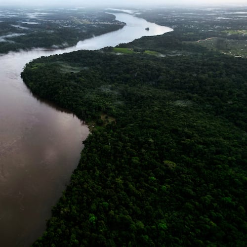 FILE - Trees line the Oiapoque River on the border between Brazil and French Guiana, in Oiapoque, Amapa state, Brazil, March 10, 2026. (AP Photo/Eraldo Peres, File)