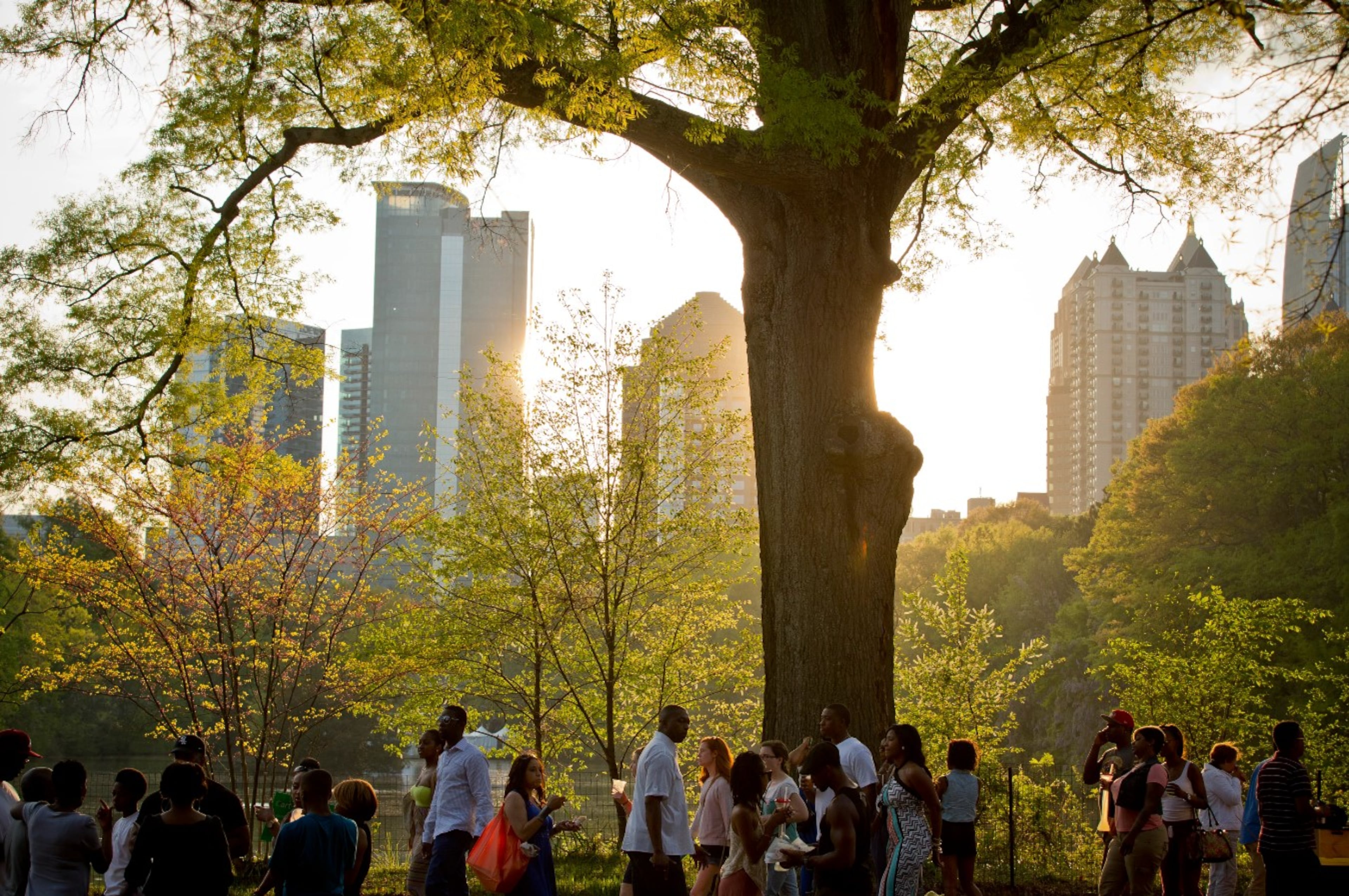 On June 16, 2025, the Atlanta City Council voted forward a new tree ordinance, with all tree protections removed.. (Courtesy of Atlanta Dogwood Festival 2023)