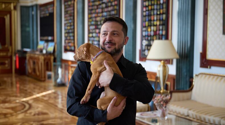 In this photo provided by the Ukrainian Presidential Press Office, Ukrainian President Volodymyr Zelenskyy holds a special gift from American boxer Terence Crawford - an American Pit Bull Terrier puppy named Freya, linked to the Ukrainian air defense system FREYJA, which is currently in development, in Kyiv, Ukraine, Tuesday, Aug. 25, 2026. (Ukrainian Presidential Press Office via AP)