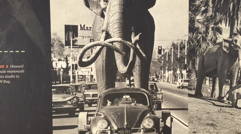 Just another day in Los Angeles: A VW transports a prehistoric elephant (scientific name: Mammuthus).