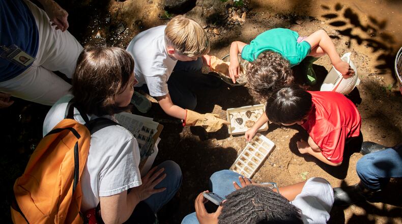 Fifth graders at Trinity School collect and study specimens from a creek located on the school's Buckhead campus.