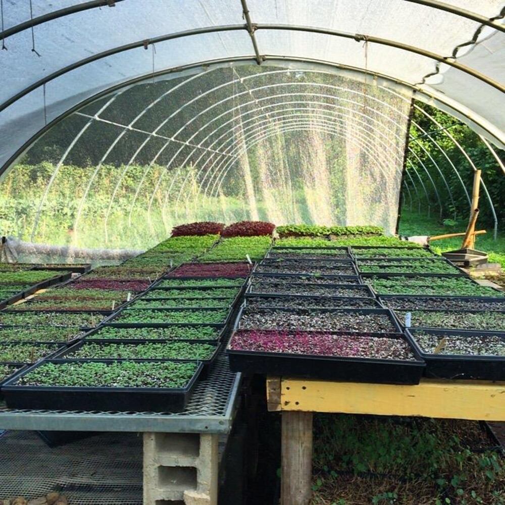 Aluma 2 - Urban farming in Atlanta