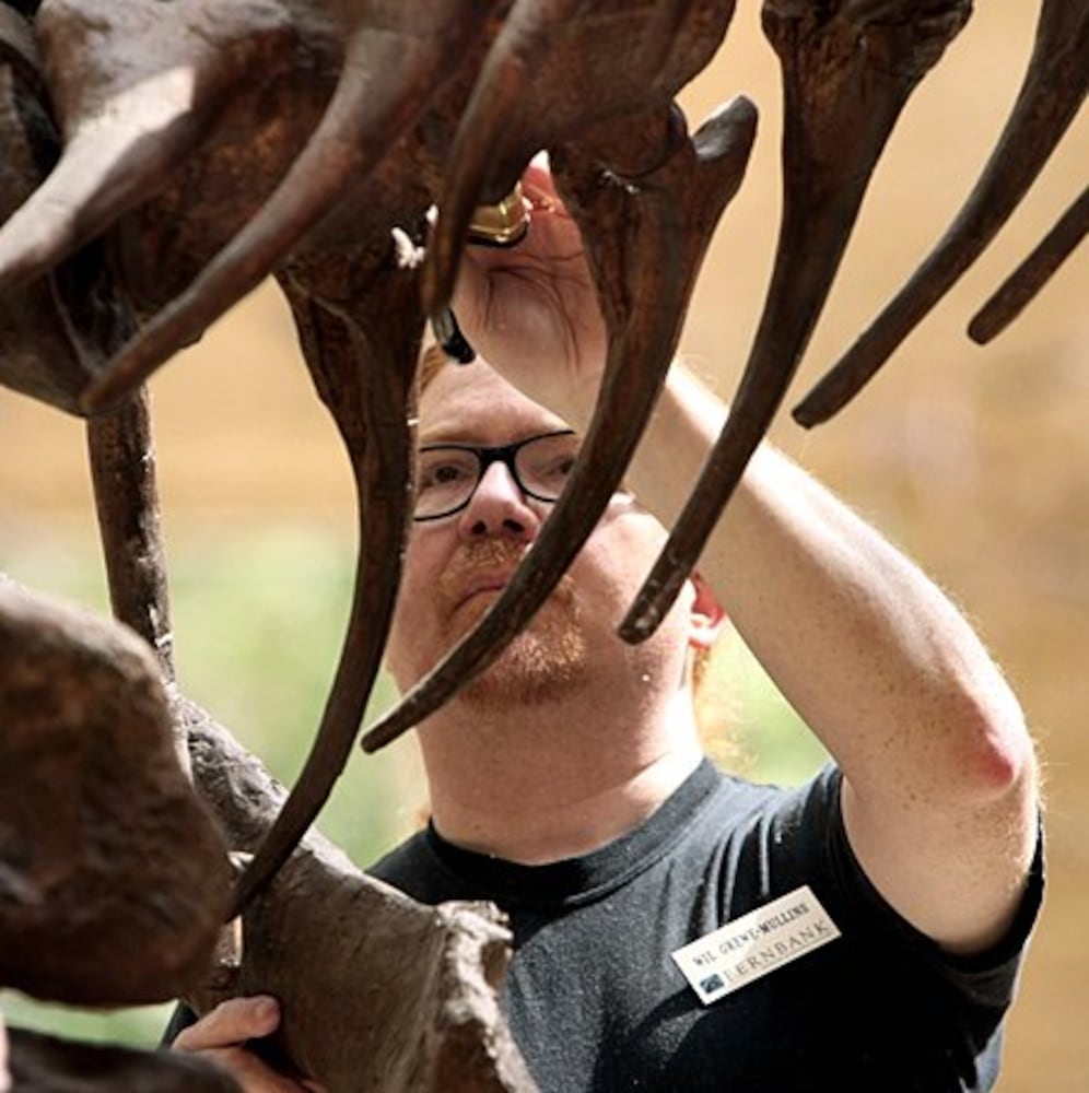 Atlanta dinosaurs get all cleaned up