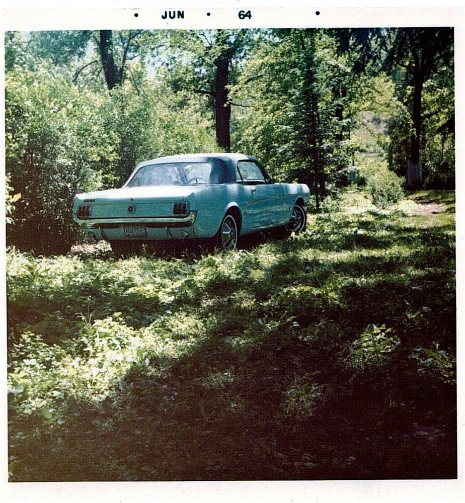 1964 1/2 convertible survives
