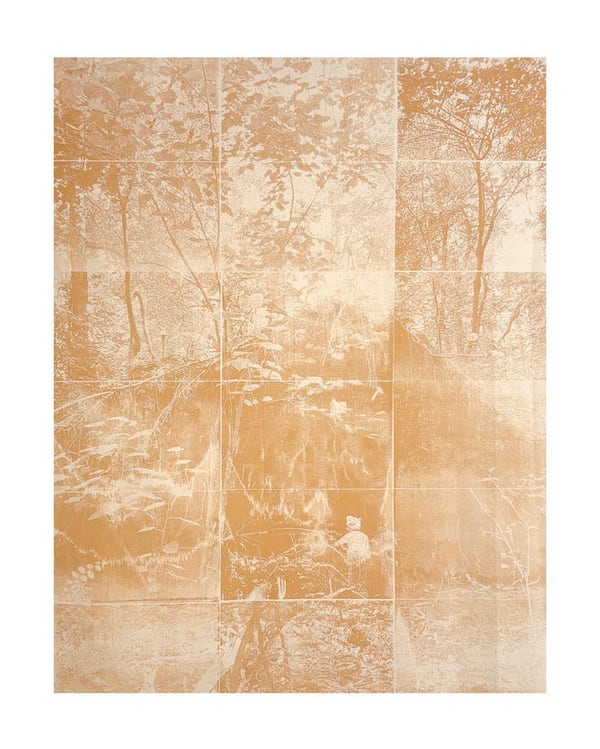 A detail from "Chronobiology (39)," by Heather Bird Harris. This Georgia clay screen print on cotton canvas is part of the two-person exhibit "Field Notes," along with Joel Silverman, at Swan Coach House Gallery through March 26. (Courtesy of Swan Coach House Gallery)