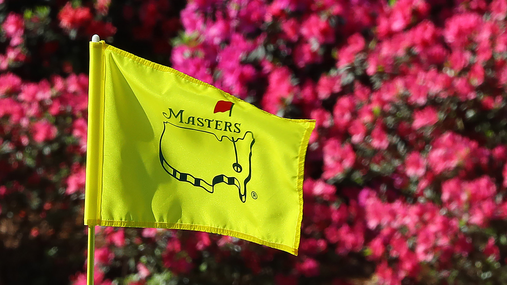 The azaleas at Augusta National Golf Club are expected to be in bloom for the 2019 Masters Tournament.