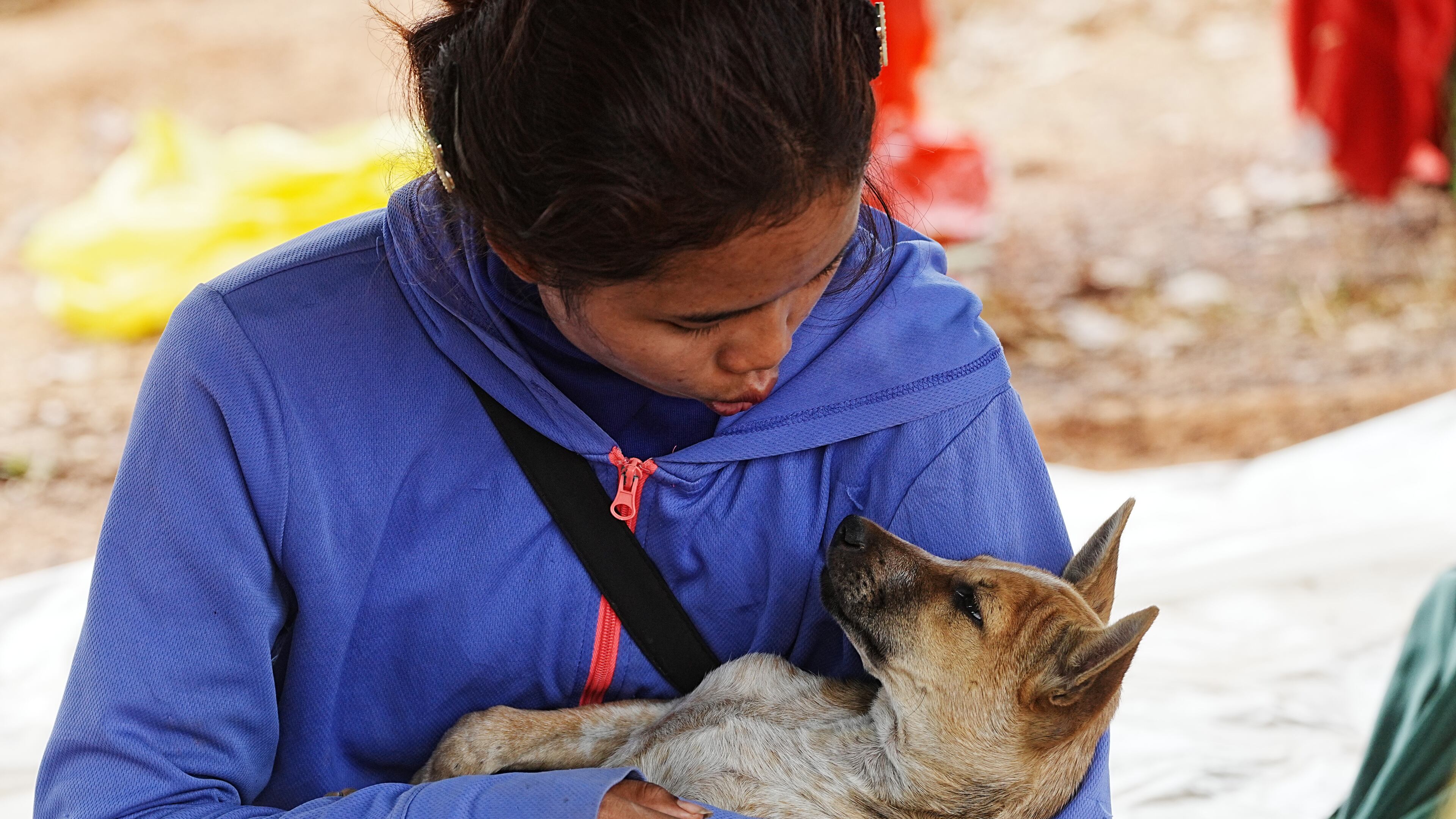 A woman plays with a dog as she takes refuge at Chonkal district in Oddar Meanchey province, Cambodia Thursday, Dec. 11, 2025, after fleeing from home following a fighting between Thailand and Cambodia over territorial claims. (AP Photo/Heng Sinith)