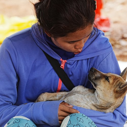 A woman plays with a dog as she takes refuge at Chonkal district in Oddar Meanchey province, Cambodia Thursday, Dec. 11, 2025, after fleeing from home following a fighting between Thailand and Cambodia over territorial claims. (AP Photo/Heng Sinith)