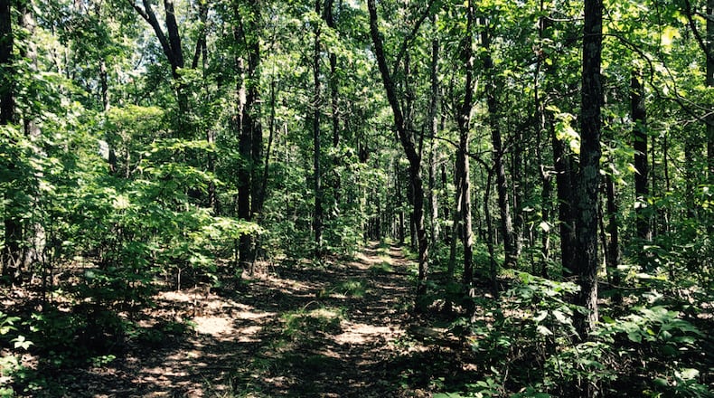 The U.S. Justice Department has reached agreement to bar Atlanta-based EcoVest Capital and its promoters from selling or facilitating what the government says abusive tax shelters that resulted in hundreds of millions of dollars of tax harm. The shelters involved properties where the development rights were donated to charity in return for tax deductions. SPECIAL