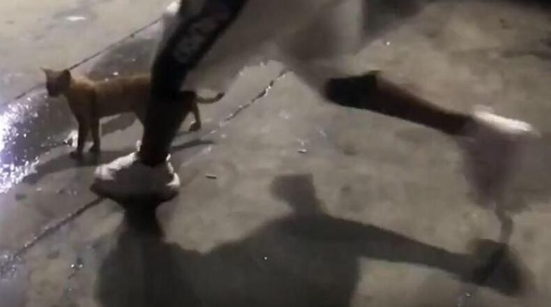 Jamari Davenport, 22, of Atlanta, turned himself in for allegedly kicking a cat violently on an Instagram video.