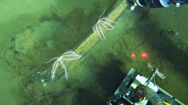 This undated image provided by Peng Zhou shows a Chinese submersible recovering fossilized whale bones from the deep seafloor, southeastern Indian Ocean, in the Diamantina Fracture Zone. (Global TREnD, IDSSE via AP)