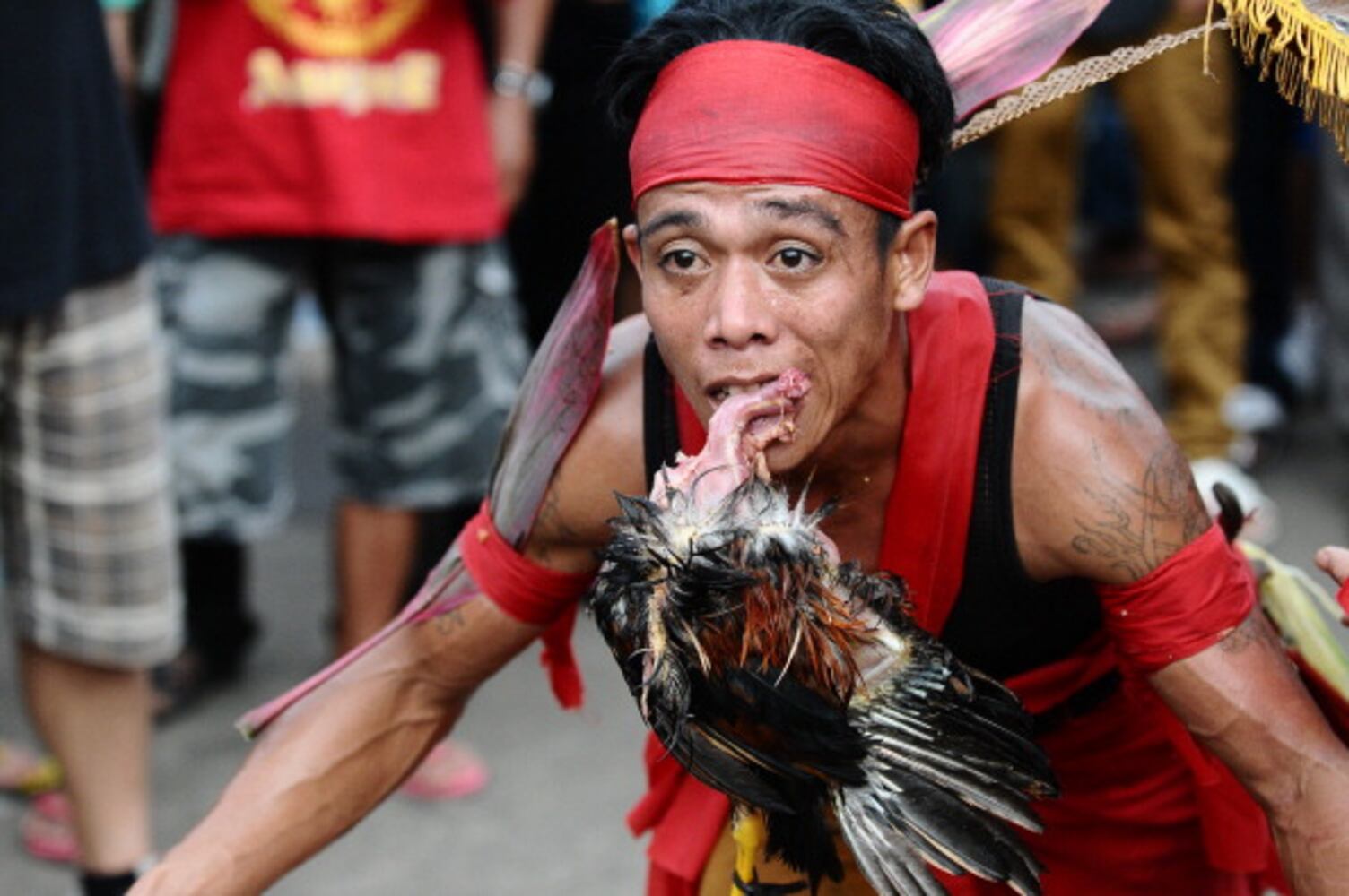 2014 Cap Go Meh in Indonesia