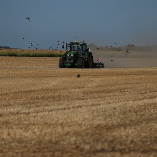 Farmer Maarten Janse drives his tractor on a drought stricken wheat field in Wolphaartsdijk, Netherlands, Tuesday, Aug. 11, 2026. (AP Photo/Virginia Mayo)