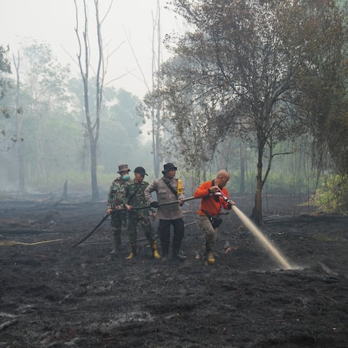 FILE - Firefighters spray water to put out wildfires burning through peatland forest in Kubu Raya, West Kalimantan, Indonesia, Sept. 12, 2026. (AP Photo/Tatan Syuflana, File)