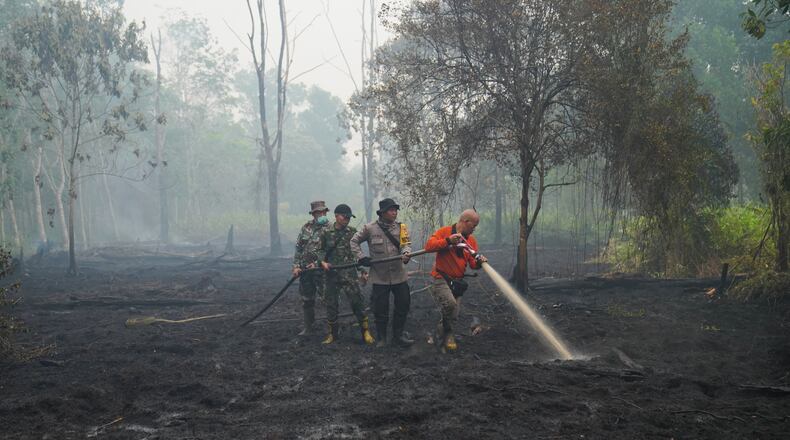 FILE - Firefighters spray water to put out wildfires burning through peatland forest in Kubu Raya, West Kalimantan, Indonesia, Sept. 12, 2026. (AP Photo/Tatan Syuflana, File)