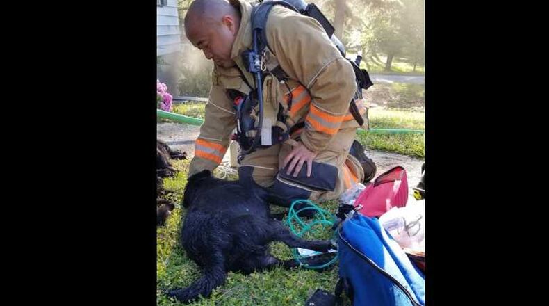 This is a Marietta firefighter using an animal oxygen mask on a dog that Channel 2 Action News reports was saved from a fire that killed three pets Monday morning.
