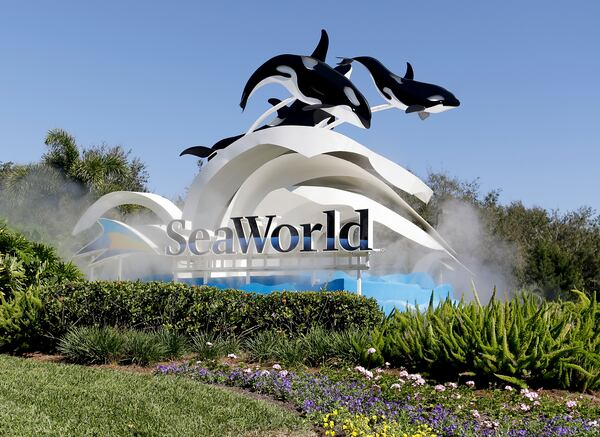 Orlando is the nation's most visited tourist destination. Its top theme parks include Disney World, Sea World, Universal Studios and Busch Gardens.