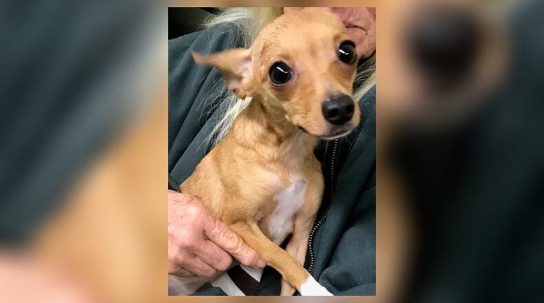 Caroline was wet and cold when she was found in a trash can Tuesday.