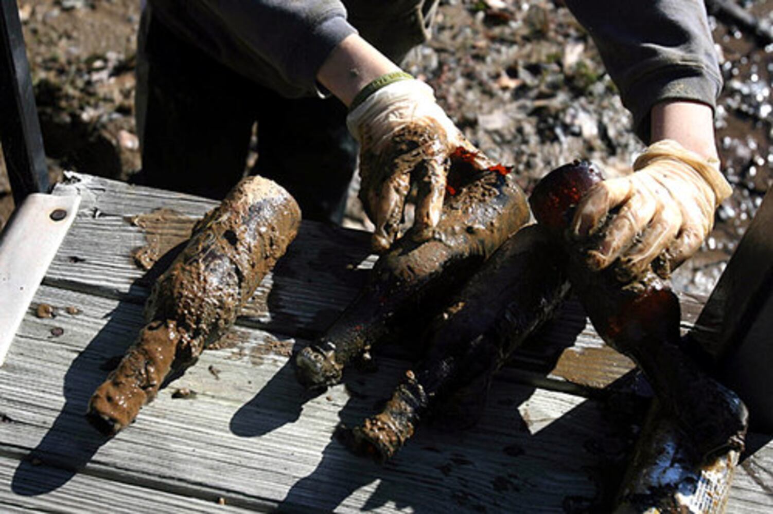 Boy Scouts clean up Lake Lanier