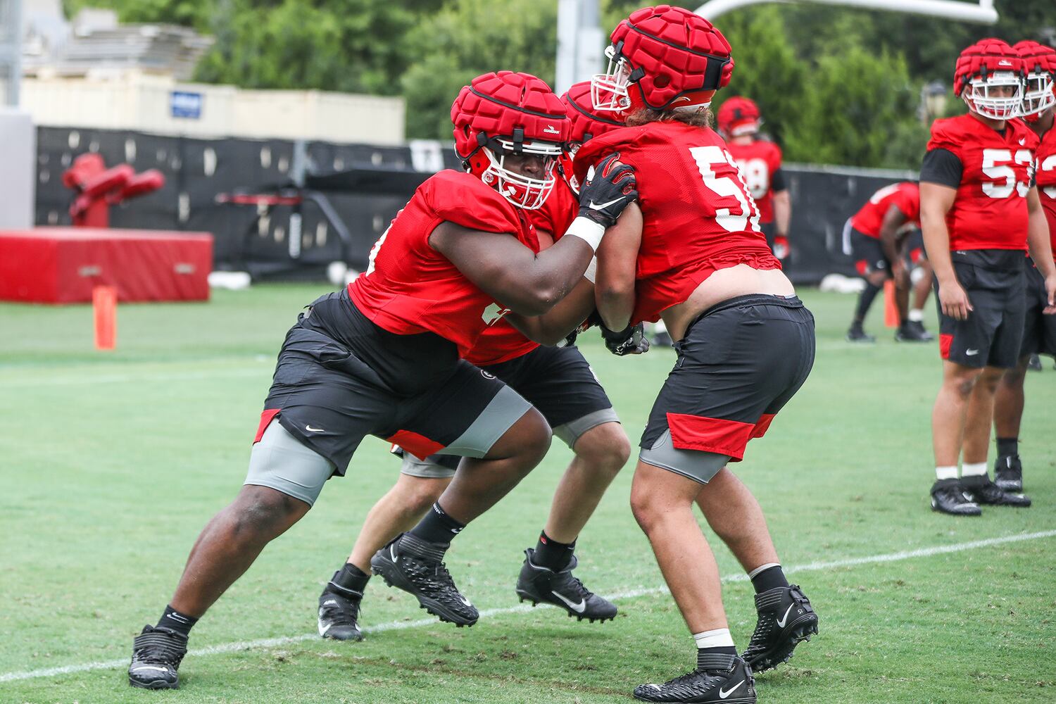 Georgia Bulldogs