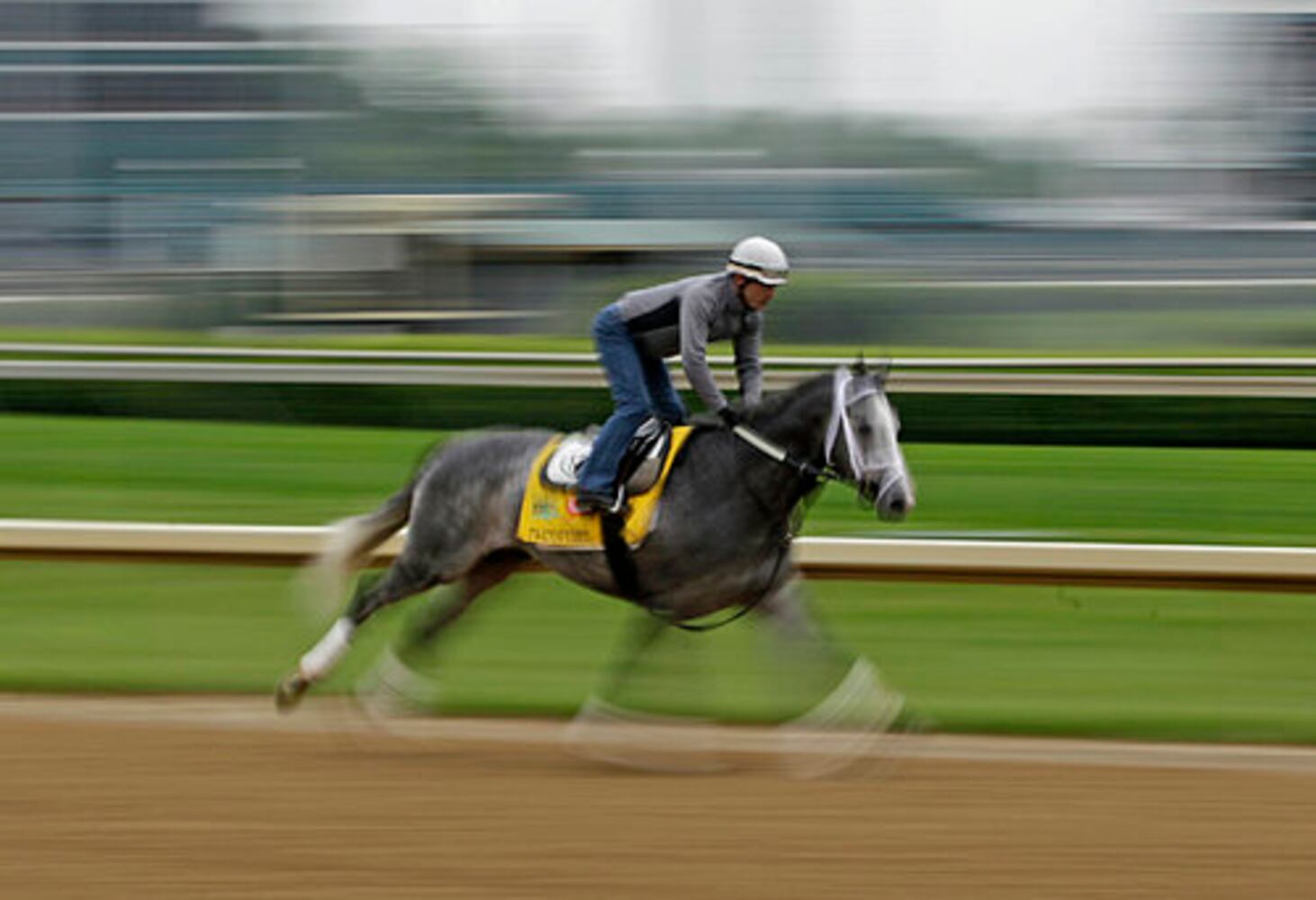 Kentucky Derby field 2011