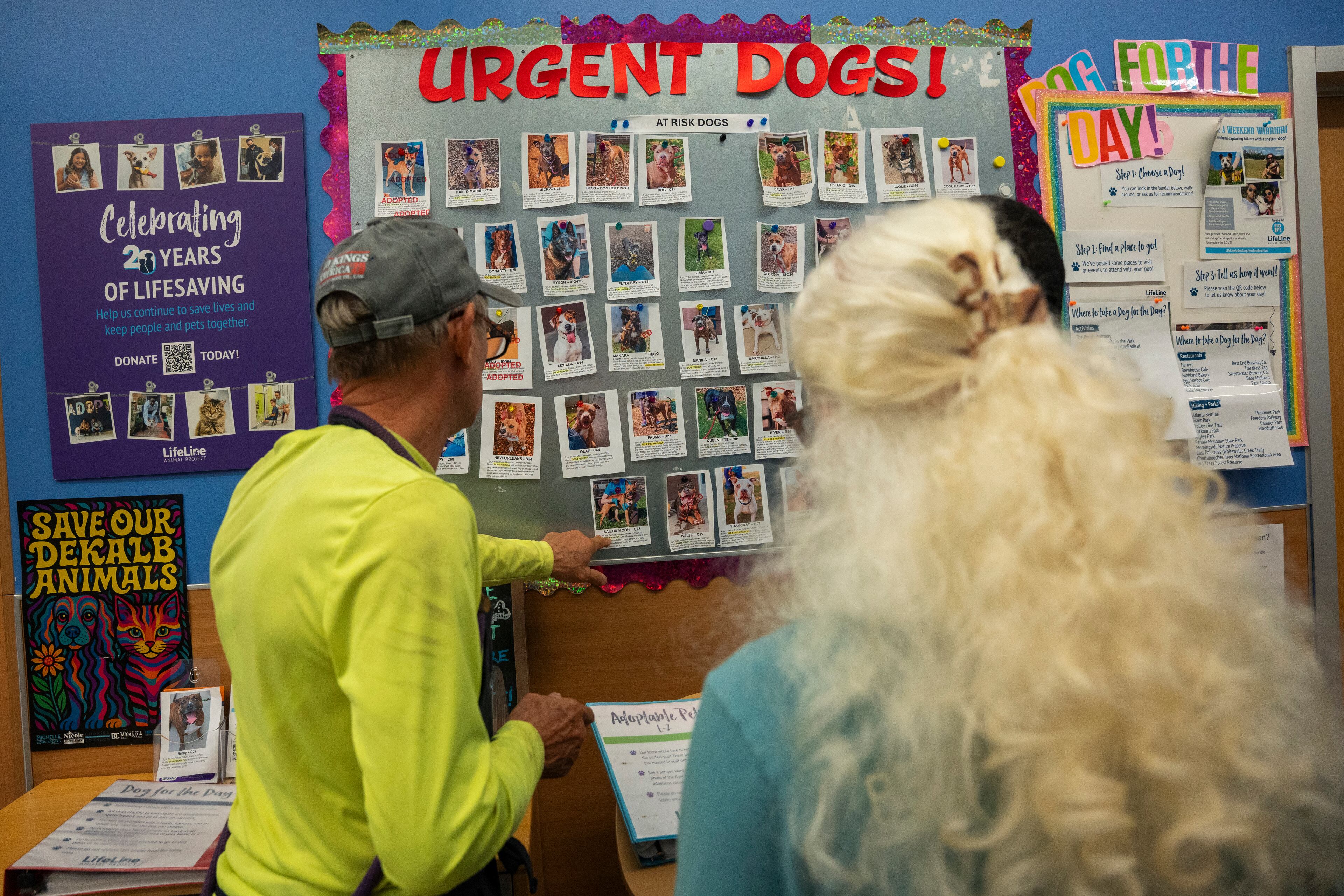 A volunteer shows visitors the dogs at risk for euthanasia at the DeKalb Animal Shelter on Tuesday, July 1, 2025, in Chamblee. (Olivia Bowdoin for the AJC)