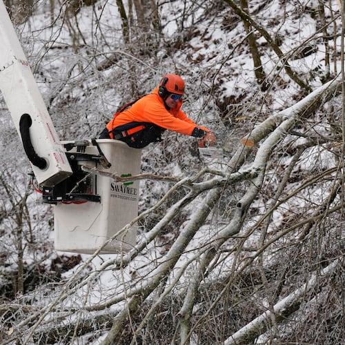 Austin Bradbury uses a chainsaw to remove a tree above a road Friday, Jan. 30, 2026, in Nashville, Tenn. (AP Photo/George Walker IV)