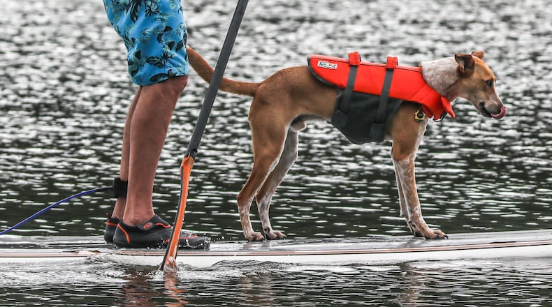 Thunderstorms throughout the day and evening will be primarily scattered, meaning you may not be impacted at all.