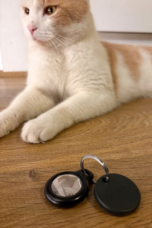 An Apple Air Tag and a Chipolo Bluetooth tracker are seen on a keyring next to a cat in London, Thursday, May 29, 2025.(AP Photo/Kelvin Chan)