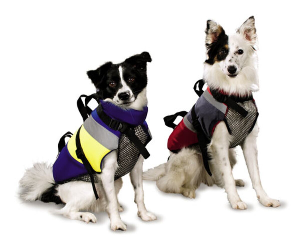 Stylish gear for dogs and cats