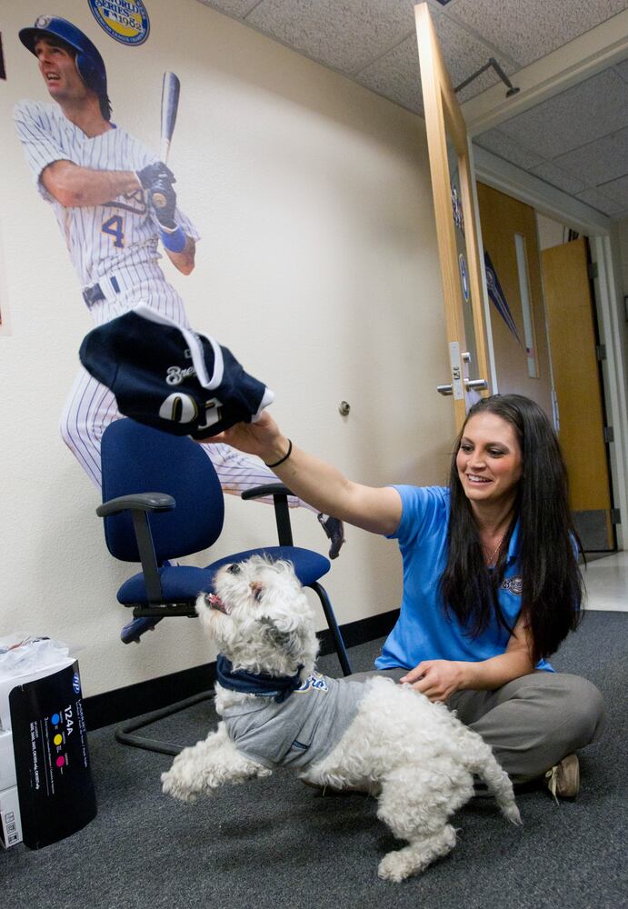 Milwaukee Brewers adopt stray, name it "Hank" after Hank Aaron