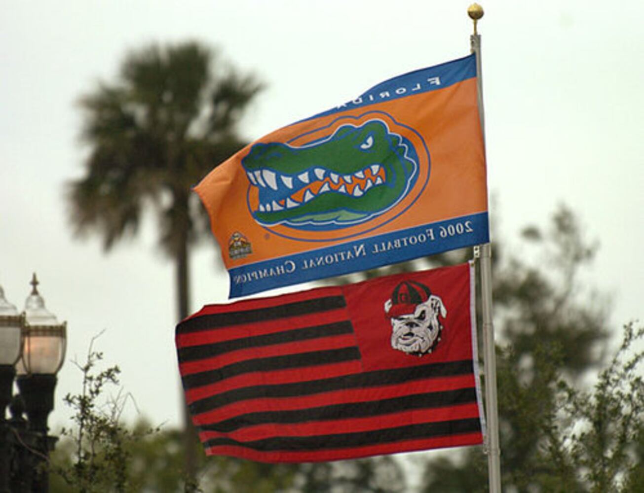 Georgia vs. Florida Photos: Fact or Fiction